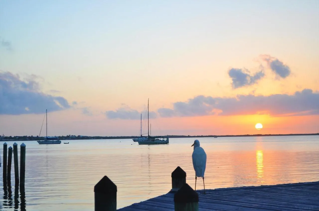 Paradise At Moon Bay * Key Largo