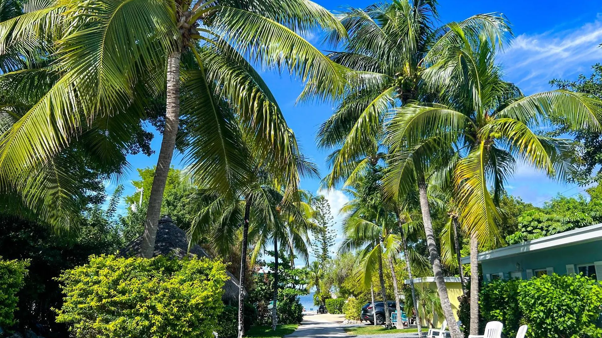 Sunset Cove Key Largo
