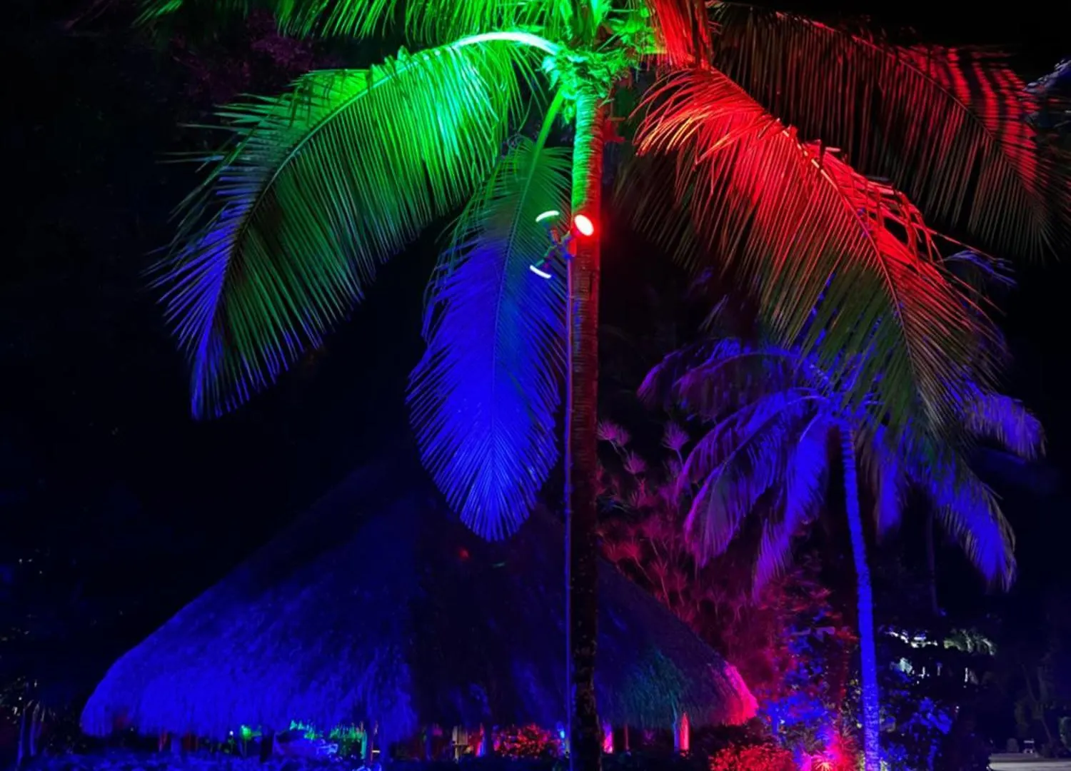 Sunset Cove 2* Key Largo