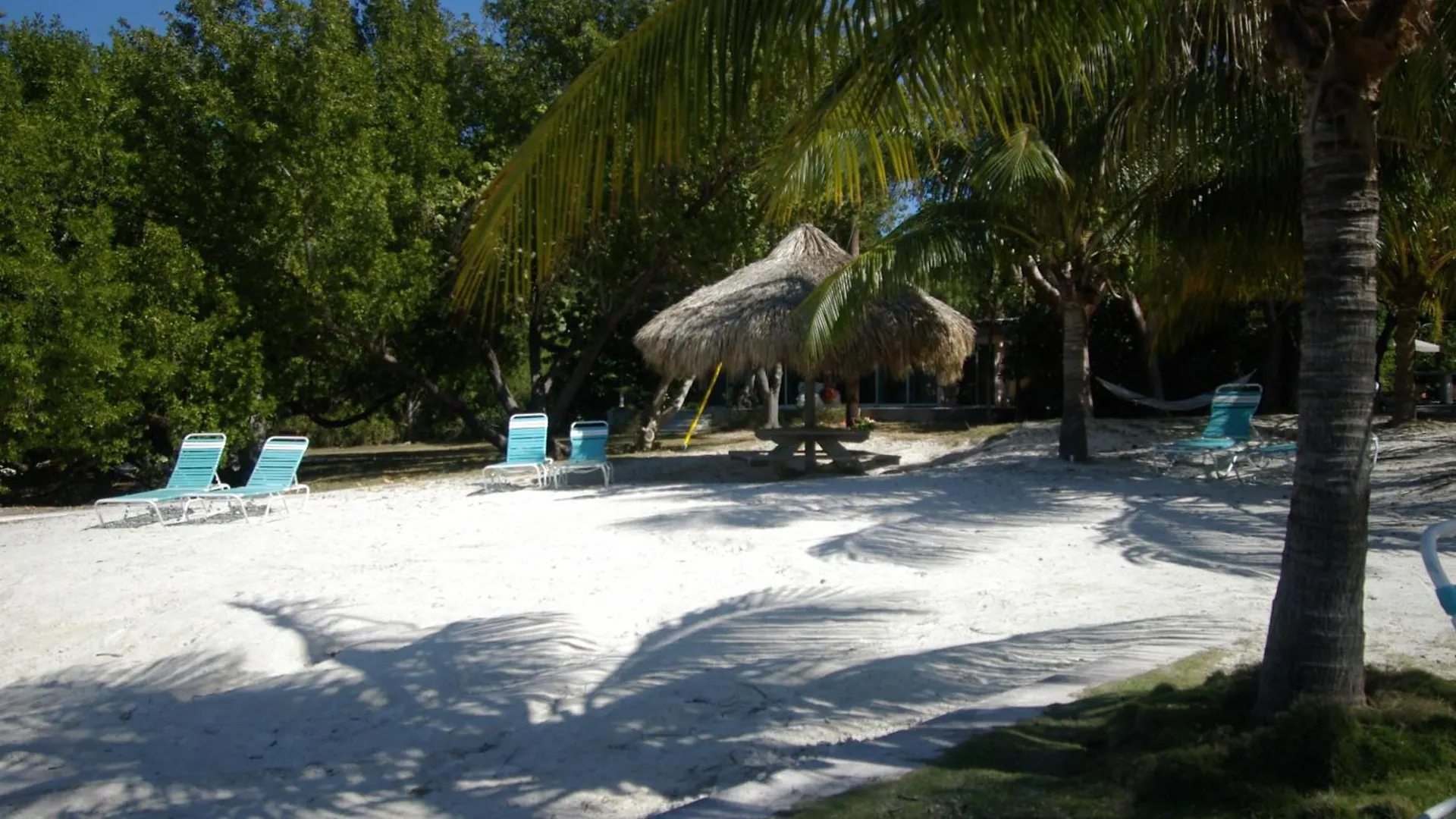 Rock Reef
