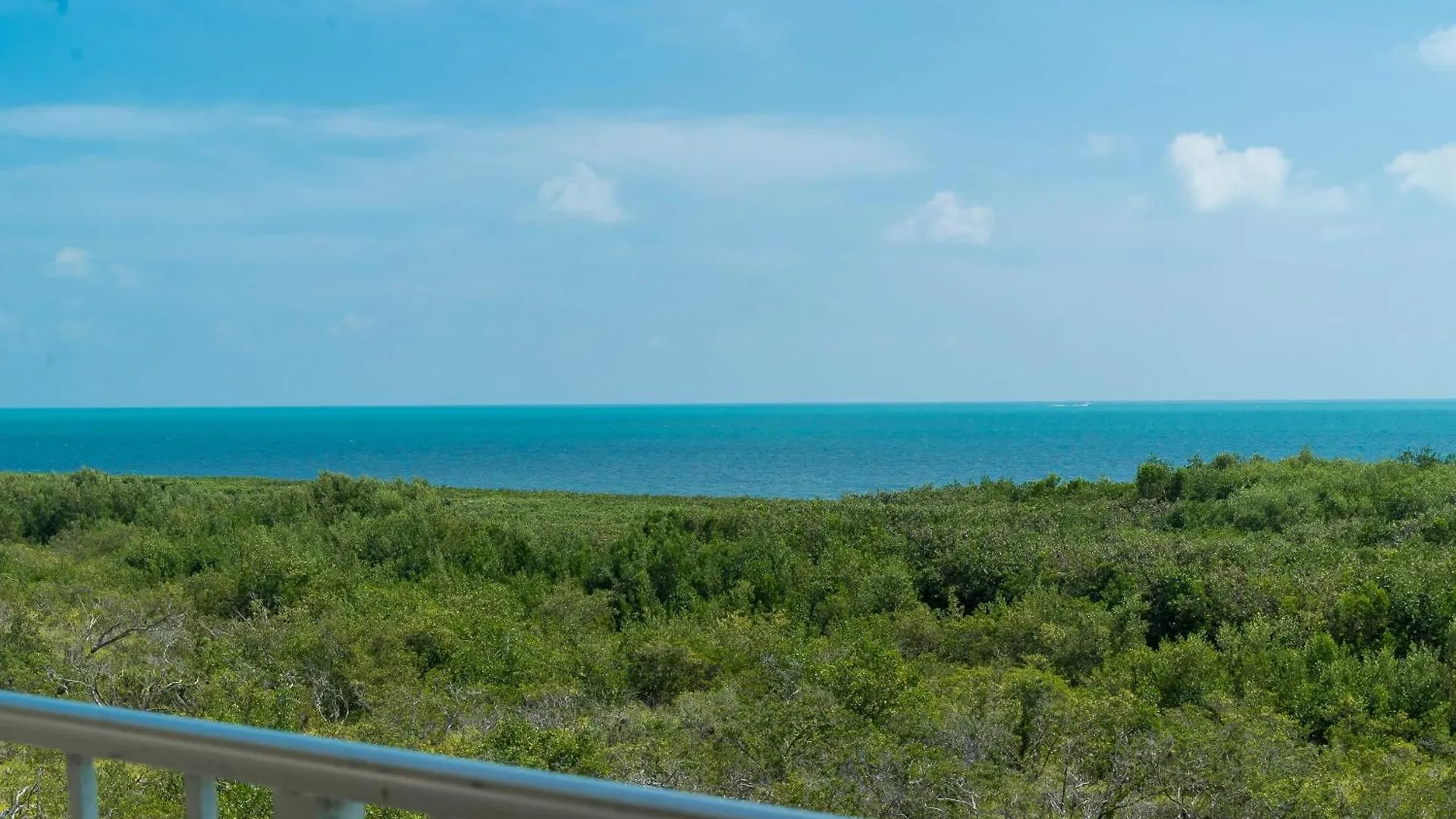 Sunrise Sanctuary - Floor Ocean Pointe 2415 Key Largo