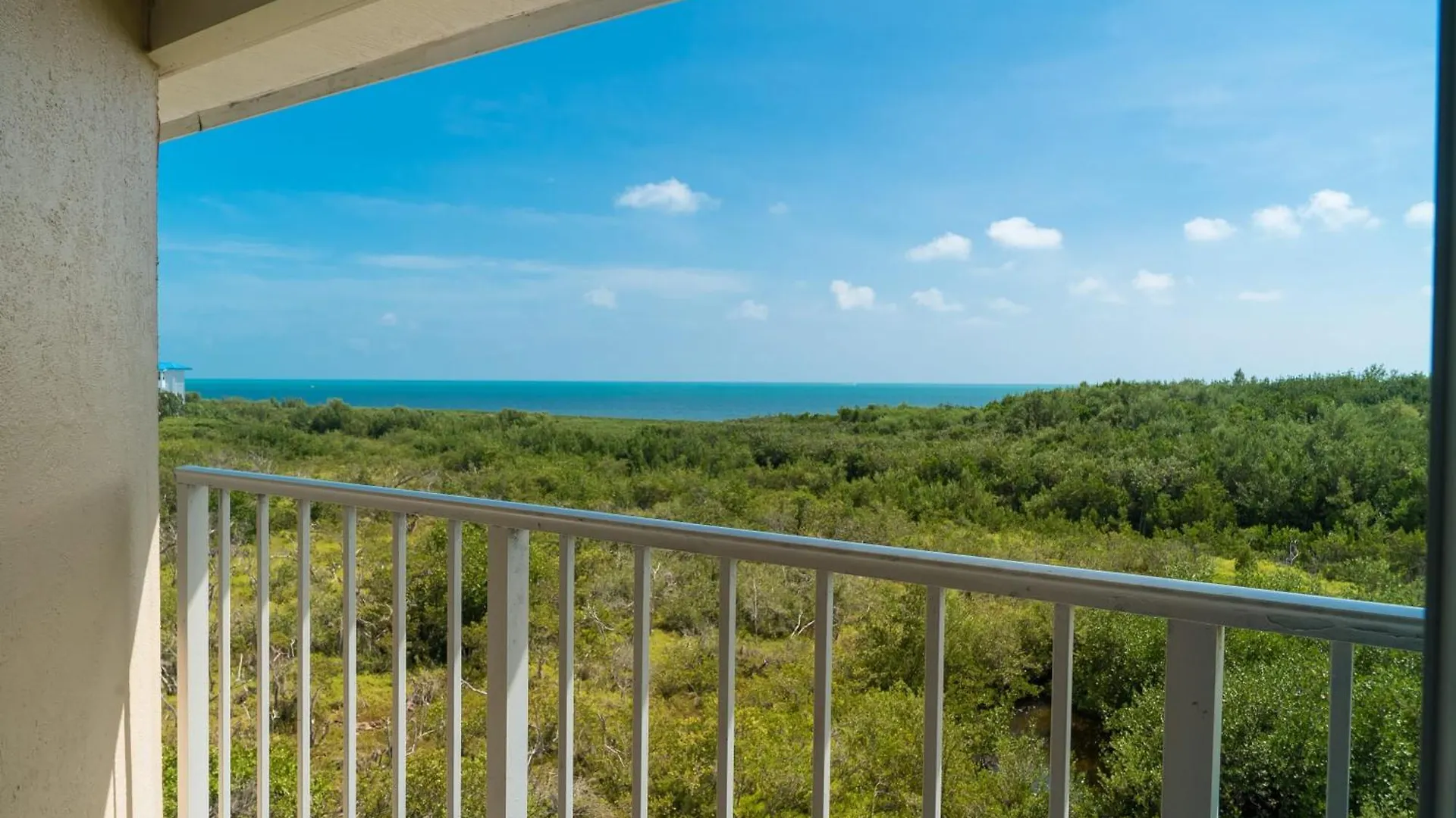 Sunrise Sanctuary - Floor Ocean Pointe 2415 Key Largo