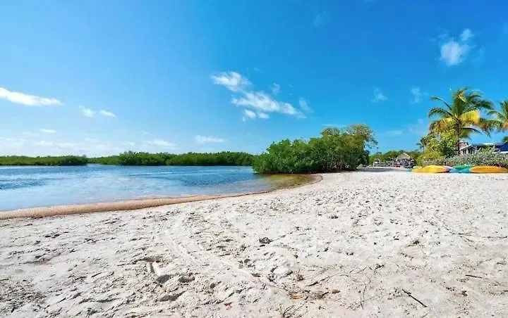 Rv By The Sea - Glamping In The Keys - Sleeps 6 Key Largo