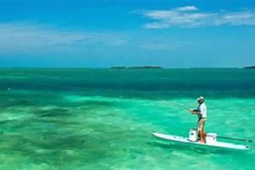 Apartment Sunrise Escape - Ocean Front - Sleeps 10 *