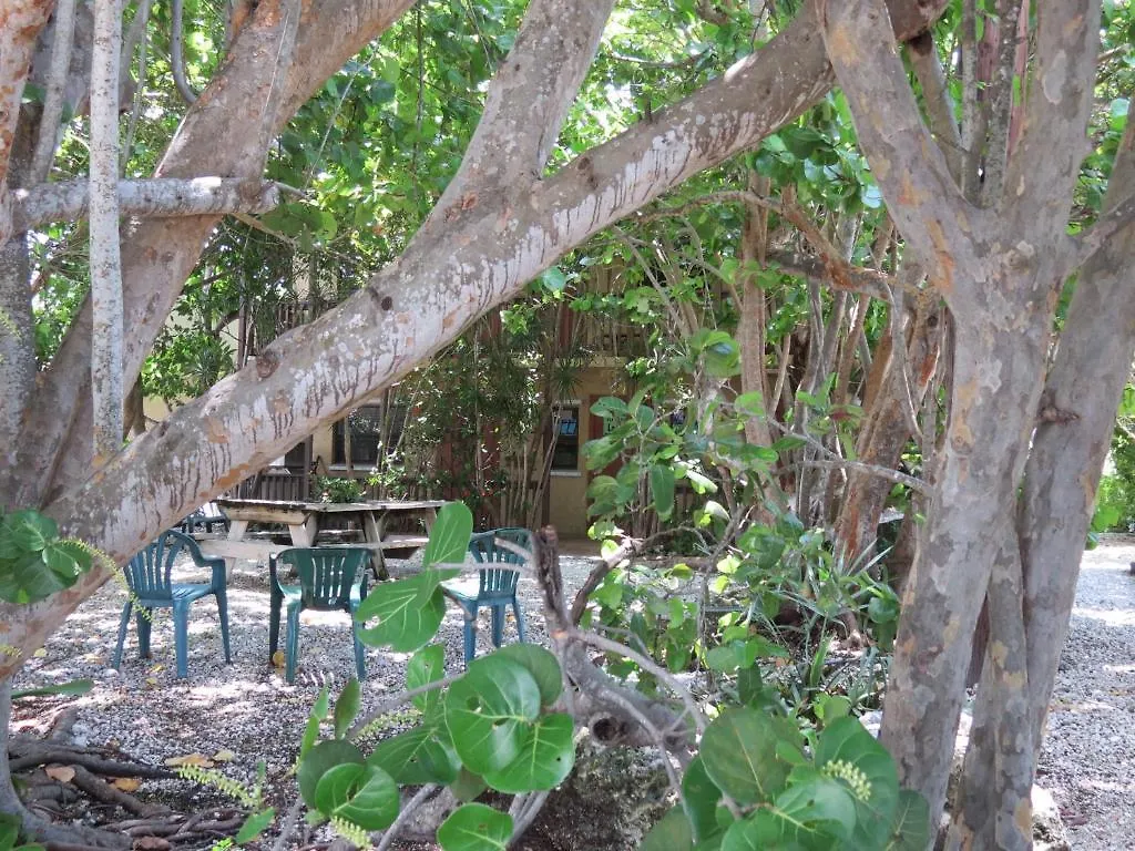 Ed & Ellen's Lodgings Motel
