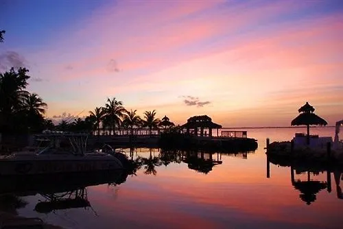Hotel Amoray Dive