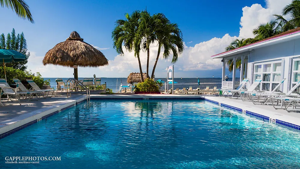 Amoray Dive Key Largo