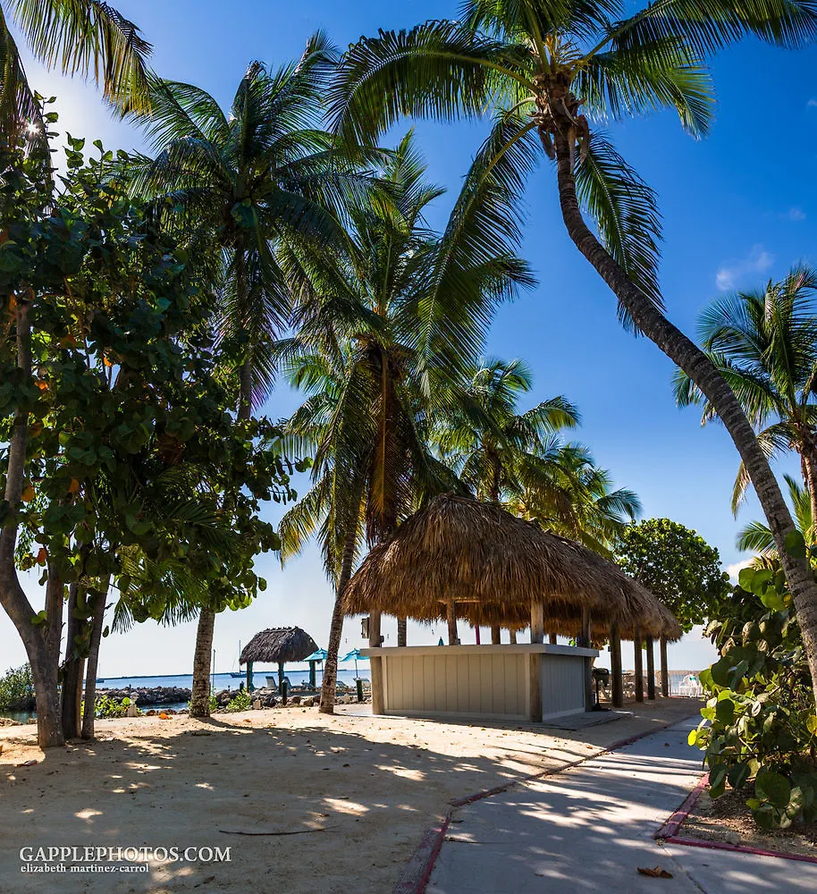 Amoray Dive Hotel Key Largo