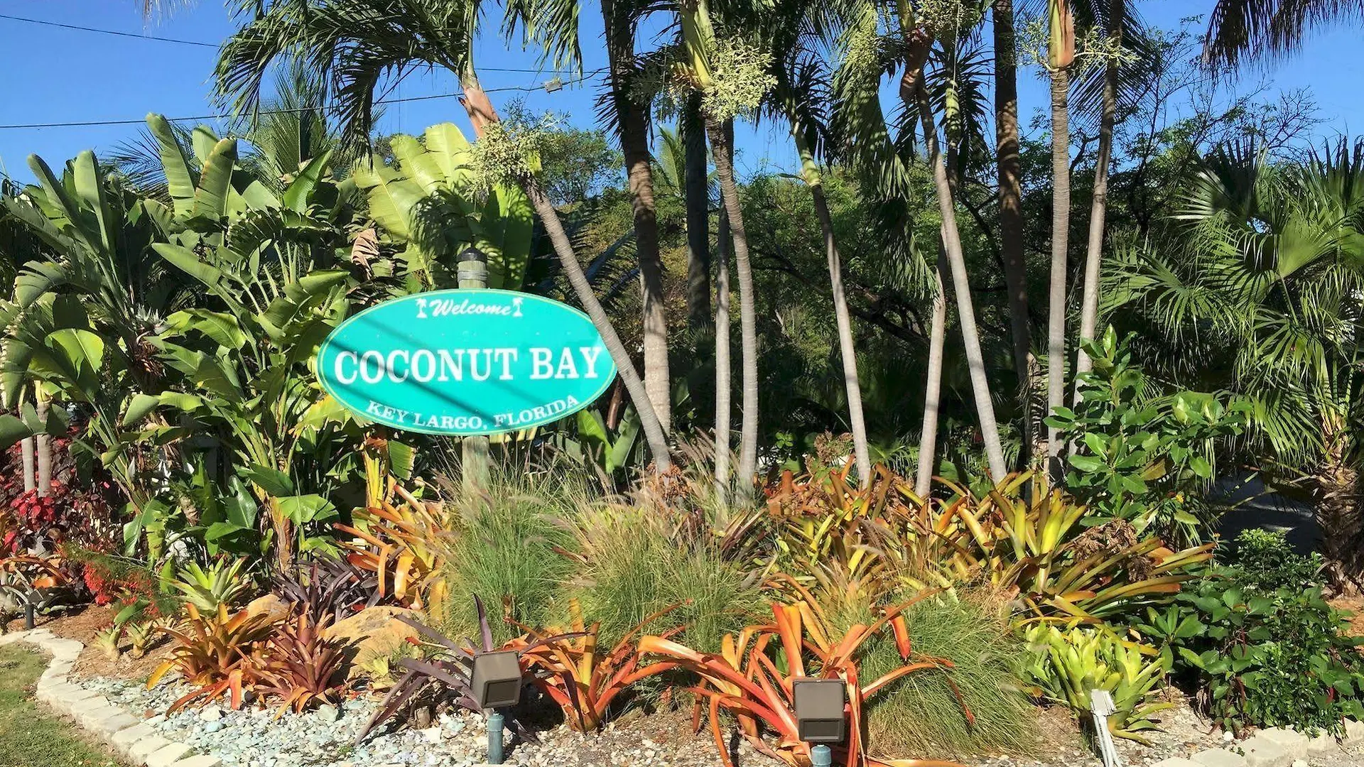 Aparthotel Coconut Bay - 3*