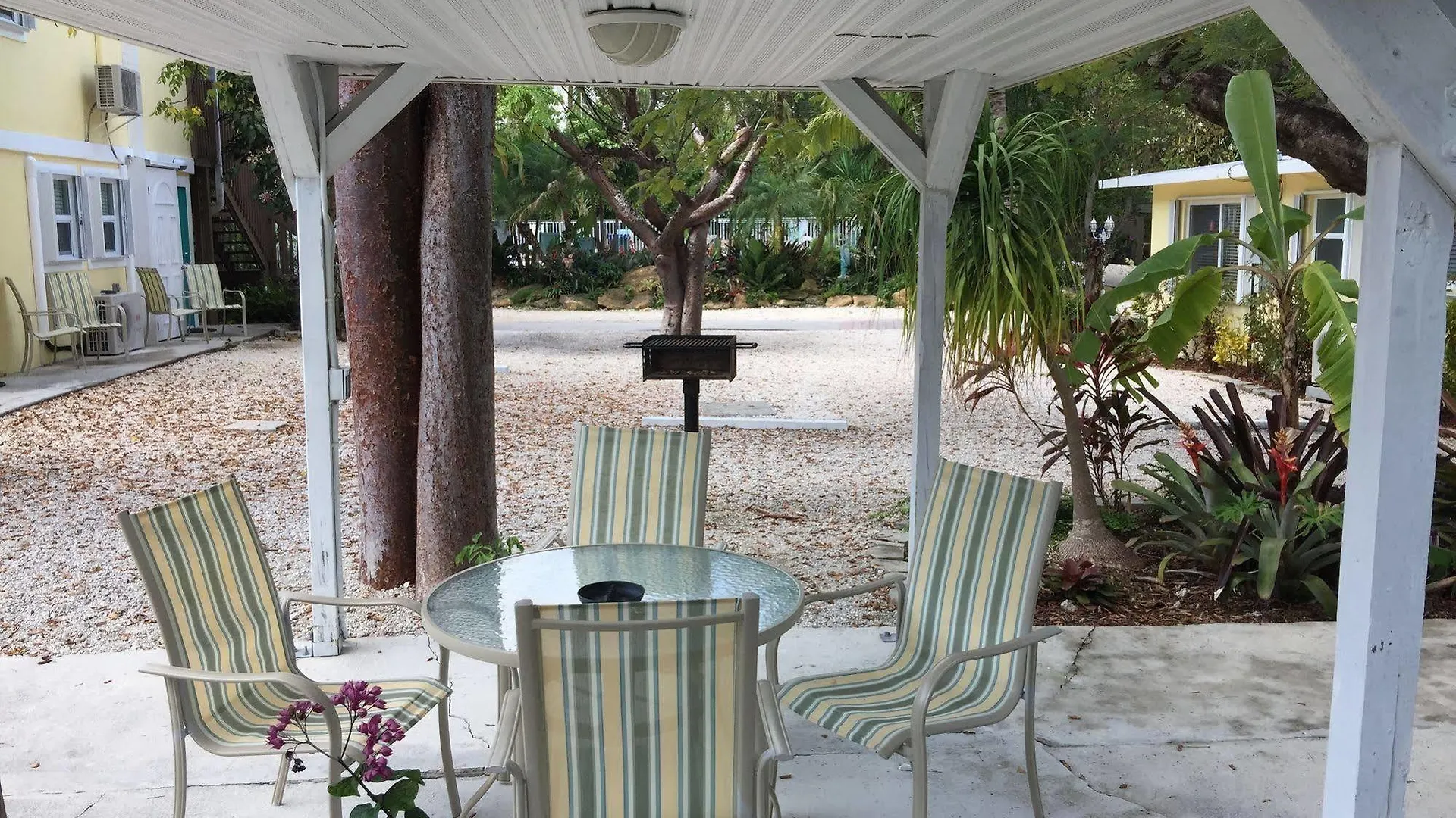Coconut Bay -