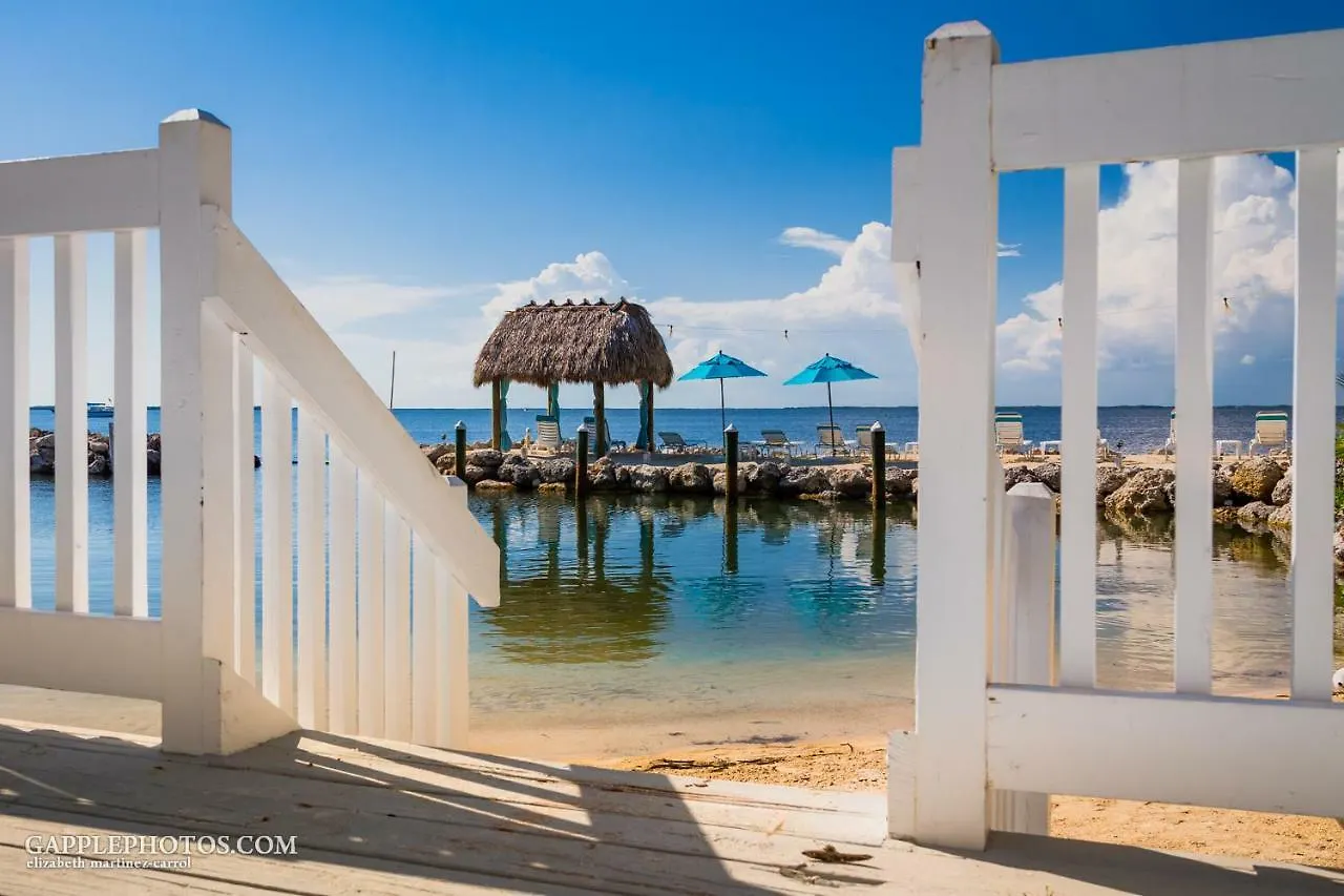 Amoray Dive Key Largo