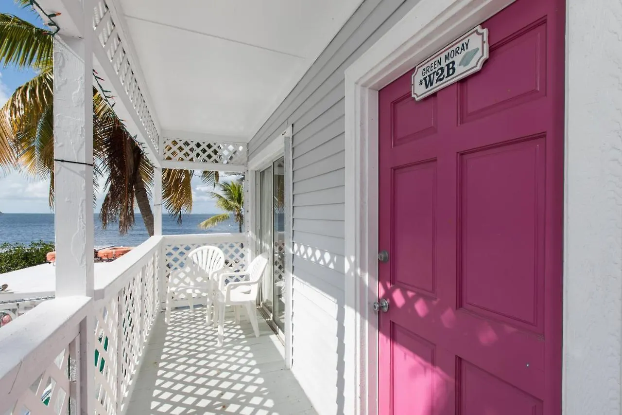 Hotel Amoray Dive
