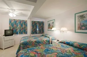 Hotel Amoray Dive 2*