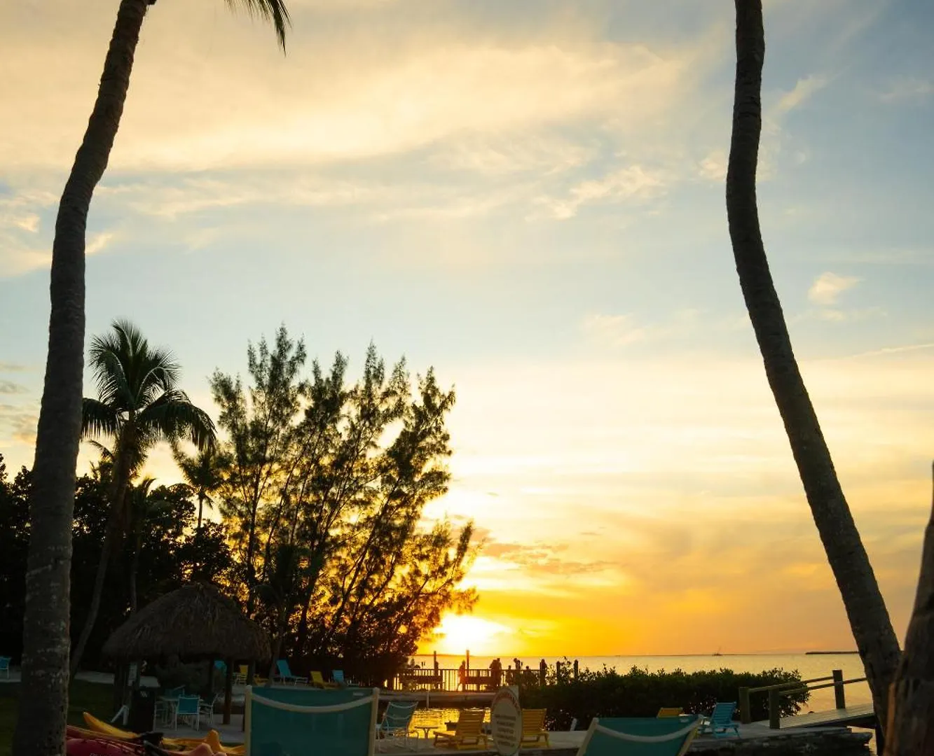 Coconut Bay - Key Largo