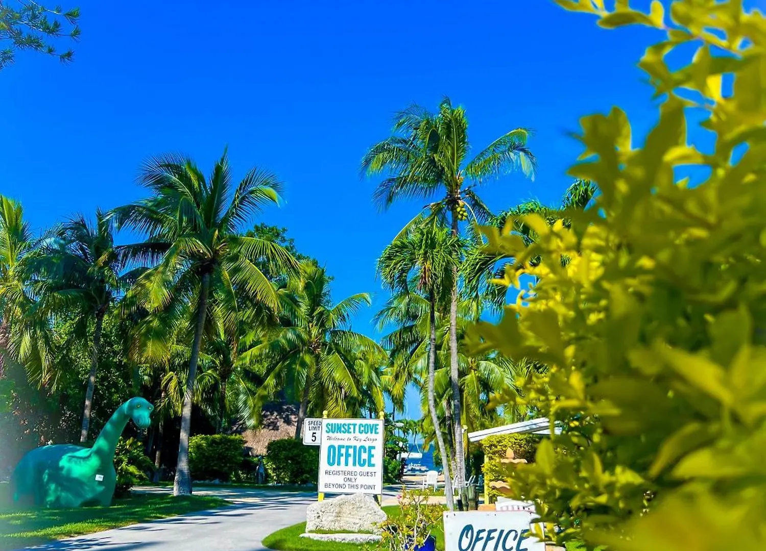 Motel Sunset Cove 2*