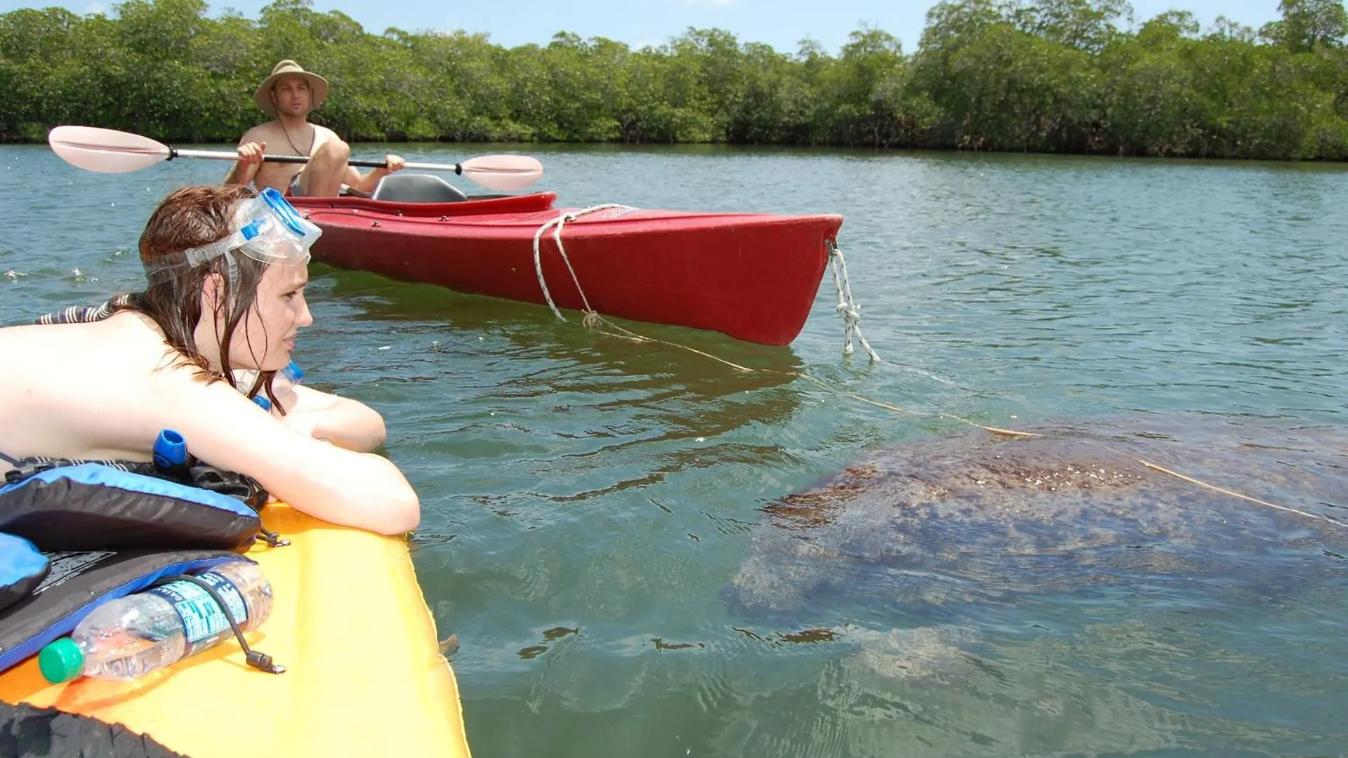 Key Largo Cottages Key Largo