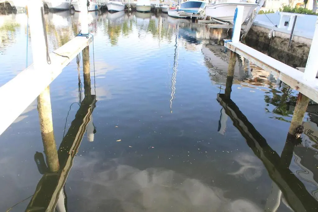 Ocean Shores 3 In With Pool And Boat Slip Key Largo