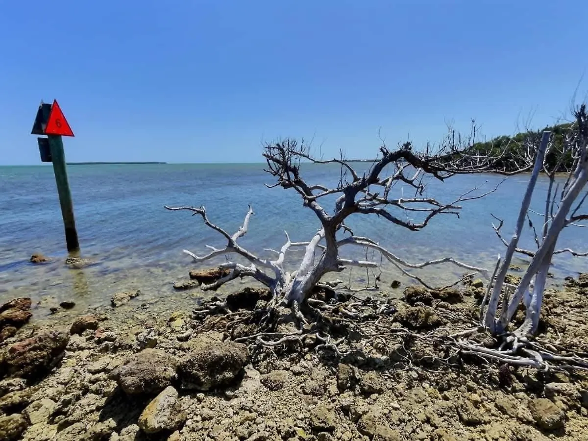 Ocean View Gem Ocean Pointe 3406 Key Largo
