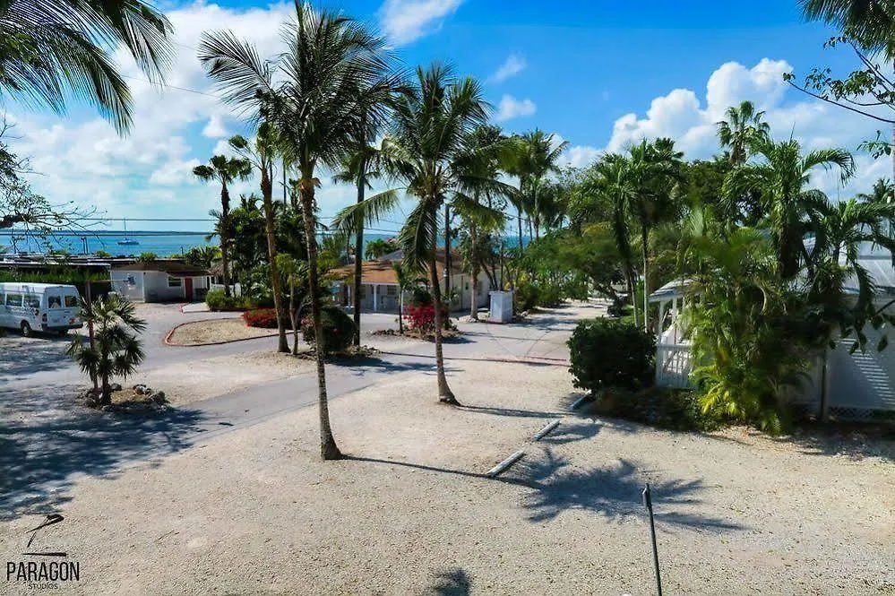 Hotel Amoray Dive
