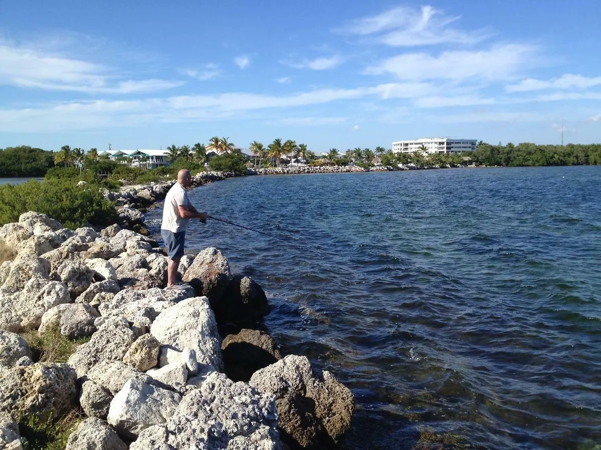 Apartment Licensed Mgr - Modern Oceanfront Condo! Beautiful Ocean Views! Resort! 2 King Beds! Key Largo