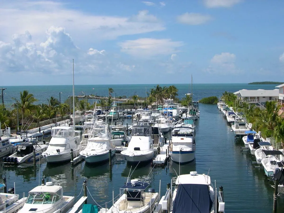 Apartment Licensed Mgr - Modern Oceanfront Condo! Beautiful Ocean Views! Resort! 2 King Beds! *